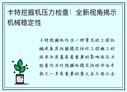卡特挖掘机压力检查：全新视角揭示机械稳定性
